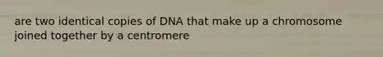 are two identical copies of DNA that make up a chromosome joined together by a centromere