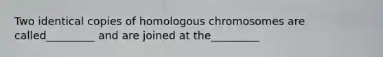 Two identical copies of homologous chromosomes are called_________ and are joined at the_________