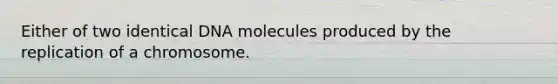 Either of two identical DNA molecules produced by the replication of a chromosome.