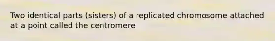 Two identical parts (sisters) of a replicated chromosome attached at a point called the centromere