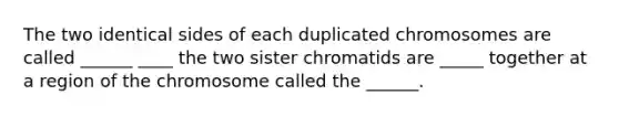 The two identical sides of each duplicated chromosomes are called ______ ____ the two sister chromatids are _____ together at a region of the chromosome called the ______.