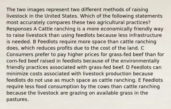 The two images represent two different methods of raising livestock in the United States. Which of the following statements most accurately compares these two agricultural practices? Responses A Cattle ranching is a more economically friendly way to raise livestock than using feedlots because less infrastructure is needed. B Feedlots require more space than cattle ranching does, which reduces profits due to the cost of the land. C Consumers prefer to pay higher prices for grass-fed beef than for corn-fed beef raised in feedlots because of the environmentally friendly practices associated with grass-fed beef. D Feedlots can minimize costs associated with livestock production because feedlots do not use as much space as cattle ranching. E Feedlots require less food consumption by the cows than cattle ranching because the livestock are grazing on available grass in the pastures.