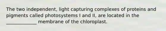 The two independent, light capturing complexes of proteins and pigments called photosystems I and II, are located in the _____________ membrane of the chloroplast.