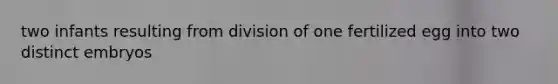 two infants resulting from division of one fertilized egg into two distinct embryos