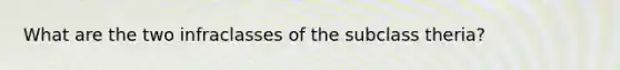 What are the two infraclasses of the subclass theria?