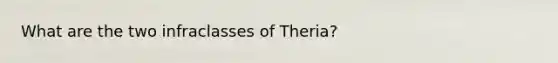 What are the two infraclasses of Theria?