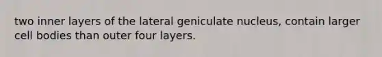 two inner layers of the lateral geniculate nucleus, contain larger cell bodies than outer four layers.