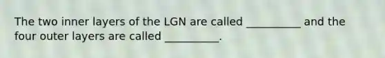 The two inner layers of the LGN are called __________ and the four outer layers are called __________.