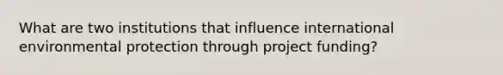 What are two institutions that influence international environmental protection through project funding?