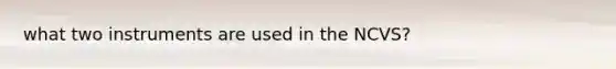 what two instruments are used in the NCVS?
