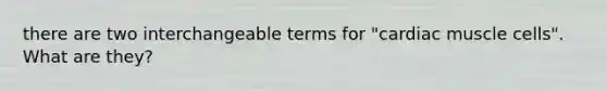 there are two interchangeable terms for "cardiac muscle cells". What are they?