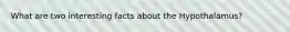 What are two interesting facts about the Hypothalamus?
