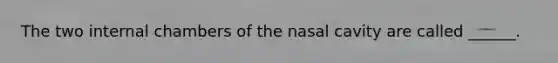 The two internal chambers of the nasal cavity are called ______.