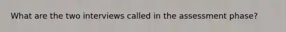 What are the two interviews called in the assessment phase?