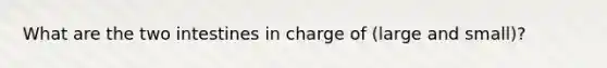 What are the two intestines in charge of (large and small)?