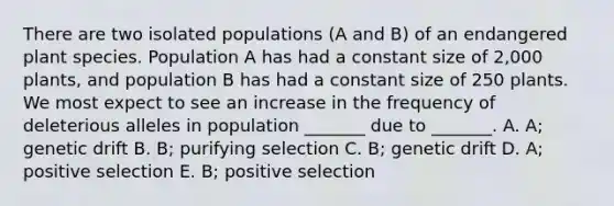 There are two isolated populations (A and B) of an endangered plant species. Population A has had a constant size of 2,000 plants, and population B has had a constant size of 250 plants. We most expect to see an increase in the frequency of deleterious alleles in population _______ due to _______. A. A; genetic drift B. B; purifying selection C. B; genetic drift D. A; positive selection E. B; positive selection