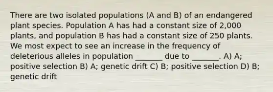 There are two isolated populations (A and B) of an endangered plant species. Population A has had a constant size of 2,000 plants, and population B has had a constant size of 250 plants. We most expect to see an increase in the frequency of deleterious alleles in population _______ due to _______. A) A; positive selection B) A; genetic drift C) B; positive selection D) B; genetic drift