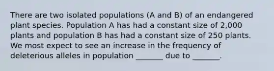 There are two isolated populations (A and B) of an endangered plant species. Population A has had a constant size of 2,000 plants and population B has had a constant size of 250 plants. We most expect to see an increase in the frequency of deleterious alleles in population _______ due to _______.