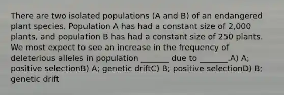 There are two isolated populations (A and B) of an endangered plant species. Population A has had a constant size of 2,000 plants, and population B has had a constant size of 250 plants. We most expect to see an increase in the frequency of deleterious alleles in population _______ due to _______.A) A; positive selectionB) A; genetic driftC) B; positive selectionD) B; genetic drift