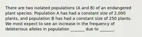 There are two isolated populations (A and B) of an endangered plant species. Population A has had a constant size of 2,000 plants, and population B has had a constant size of 250 plants. We most expect to see an increase in the frequency of deleterious alleles in population _______ due to _______.