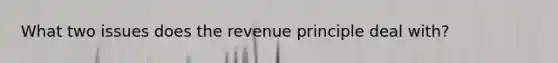 What two issues does the revenue principle deal with?