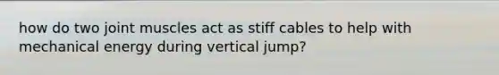 how do two joint muscles act as stiff cables to help with mechanical energy during vertical jump?