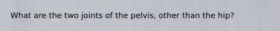 What are the two joints of the pelvis, other than the hip?