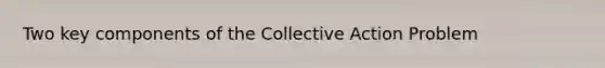 Two key components of the <a href='https://www.questionai.com/knowledge/kjgS3J1KEt-collective-action' class='anchor-knowledge'>collective action</a> Problem