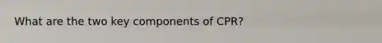 What are the two key components of CPR?