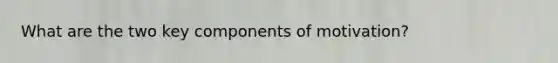 What are the two key components of motivation?