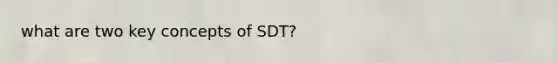 what are two key concepts of SDT?