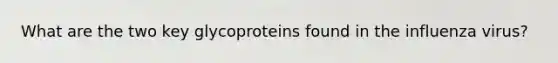 What are the two key glycoproteins found in the influenza virus?