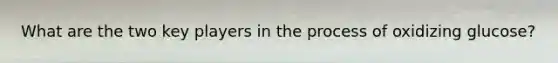 What are the two key players in the process of oxidizing glucose?