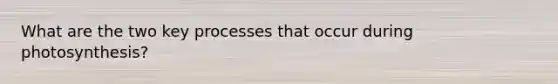 What are the two key processes that occur during photosynthesis?