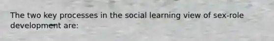 The two key processes in the social learning view of sex-role development are: