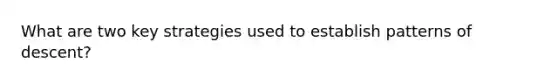 What are two key strategies used to establish patterns of descent?