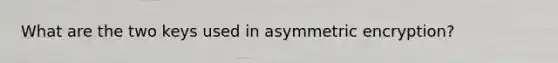 What are the two keys used in asymmetric encryption?