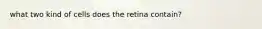 what two kind of cells does the retina contain?