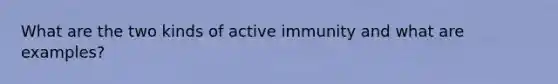 What are the two kinds of active immunity and what are examples?