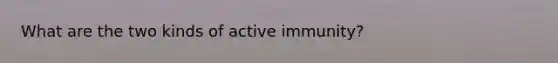 What are the two kinds of active immunity?