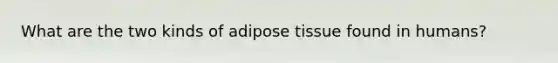 What are the two kinds of adipose tissue found in humans?