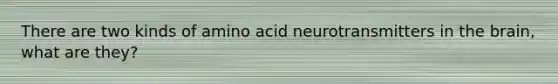 There are two kinds of amino acid neurotransmitters in <a href='https://www.questionai.com/knowledge/kLMtJeqKp6-the-brain' class='anchor-knowledge'>the brain</a>, what are they?
