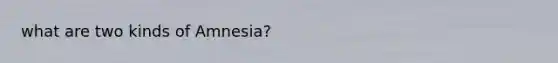 what are two kinds of Amnesia?