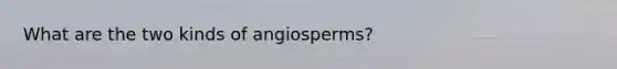 What are the two kinds of angiosperms?