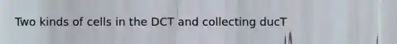 Two kinds of cells in the DCT and collecting ducT