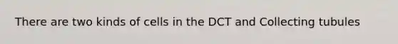 There are two kinds of cells in the DCT and Collecting tubules