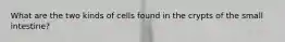 What are the two kinds of cells found in the crypts of the small intestine?