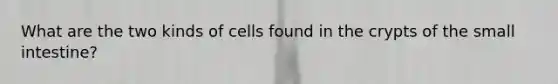 What are the two kinds of cells found in the crypts of the small intestine?