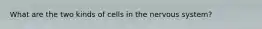 What are the two kinds of cells in the nervous system?