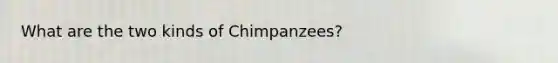 What are the two kinds of Chimpanzees?